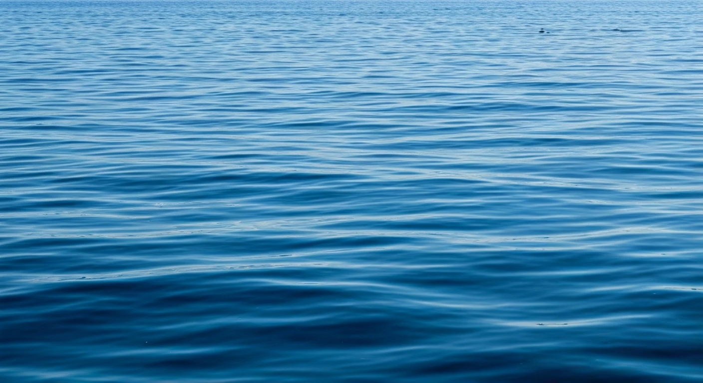 Calm Your Mind With The Blue Dolphin Technique