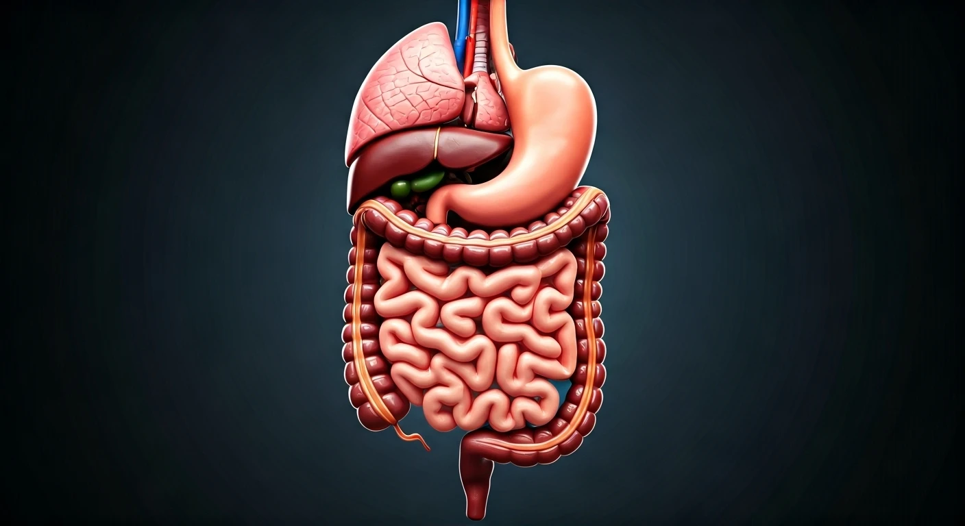 Yoga Improves Digestion: Ancient Gut Health