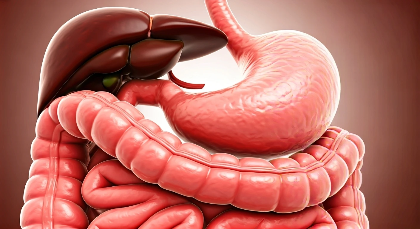 Yoga Can Help Your Digestion and Comfort