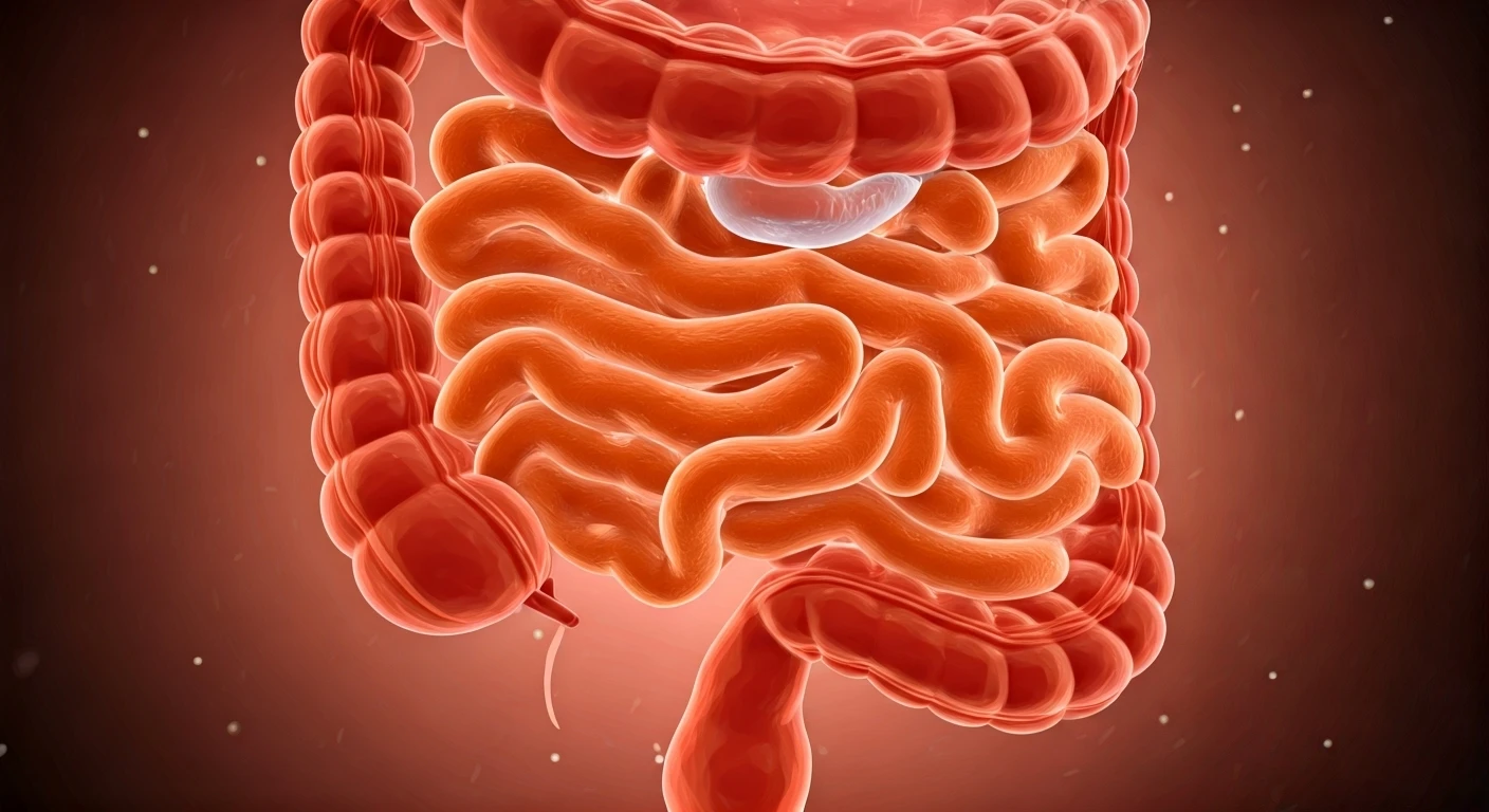 Healthy Gut, Healthy Mind: They're Linked