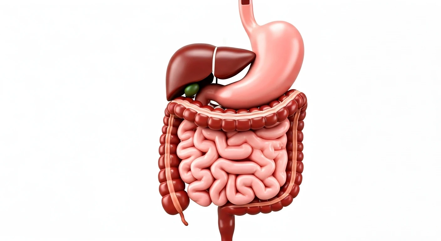 Eating With Your Hands Can Improve Gut Health.