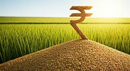 [Descriptive text about section 3]