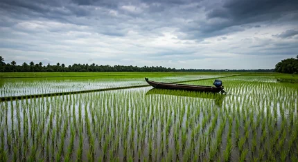 [Descriptive text about section 2]