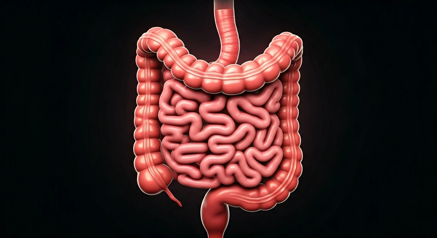 Improve Your Gut Health for Better Well-being